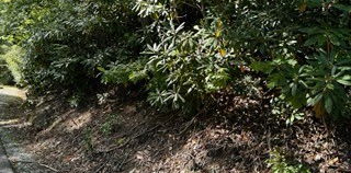 Lot 332 Upper Creek Drive, Newland