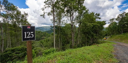 Lot 125 Tower Oaks Trail, Elk Park