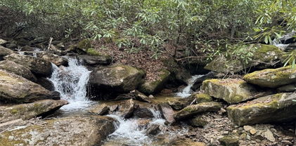 62+/- Acres Buckeye Ridge Road, Beech Mountain