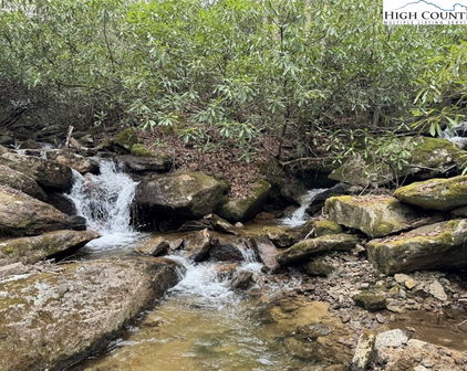 62+/- Acres Buckeye Ridge Road, Beech Mountain