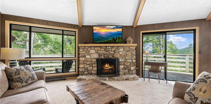 315 Timber Ridge Unit A3, Sugar Mountain