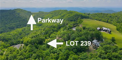 239 Thunder Wood Trail, Blowing Rock