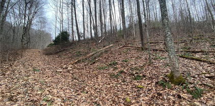 TBD Rabbit Ridge Run, Vilas