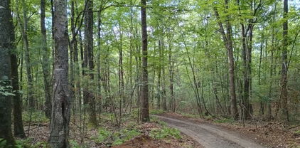 TBD Elk Knob Road, Laurel Springs