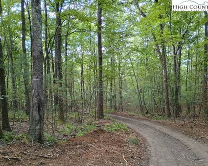 TBD Elk Knob Road, Laurel Springs