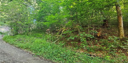 TBD Immaculate Heart Way, Lansing