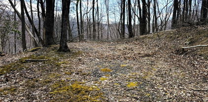 Lot 14 Larkspur Trail, Banner Elk
