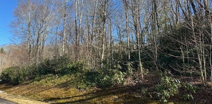 TBD Lot 43 Linville River Lane, Linville