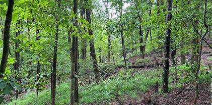 TBD Rattlesnake Mountain Road, Laurel Springs