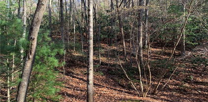 TBD (Lot 1) Dugger Firetower Road, Lenoir