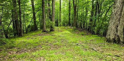 Lot 7 Brightwood Trail, Deep Gap