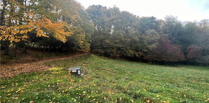 TBD Busic Ridge #4, Sparta