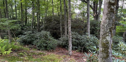 Lot 3 & 4 Fieldstone Hts Drive, Blowing Rock