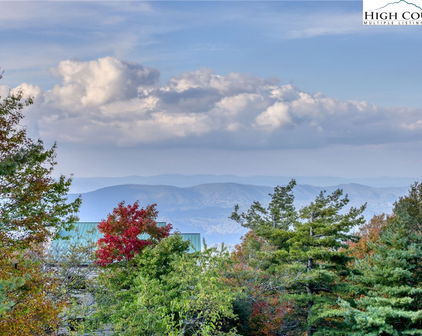 101 Courtside Lane Unit A2, Beech Mountain