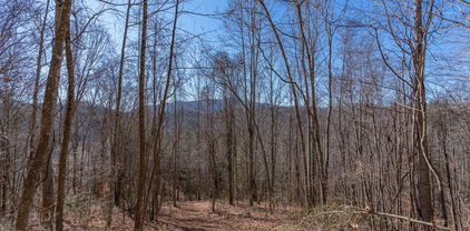 3000 Elk River Road, Elk Park