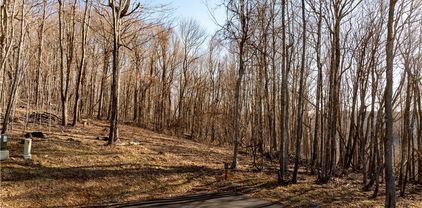 Lot 22 Fernwood Trail, Boone