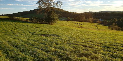TBD Crestview Mountain Drive, Ennice