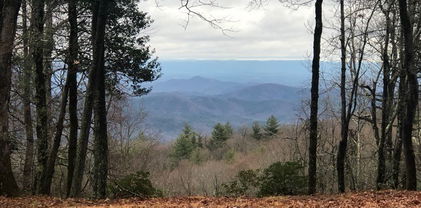 Lot 156C Oak Circle, Roaring Gap