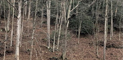 13&14 Rio Grande off Aubrey Turner Road, Crumpler