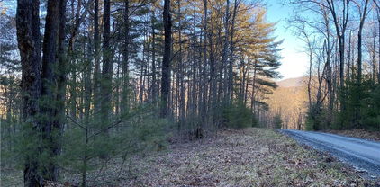 TBD (Lots 74 & 75) Forest Hill Drive, Sparta
