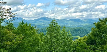 110 Sorrento Slopes Drive, Boone