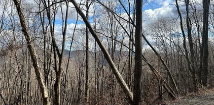 Lot 7 Woodfern Way, Todd