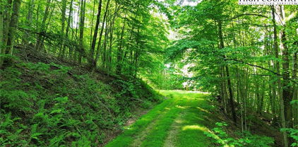 Lot 13 Larkspur Road, Beech Mountain