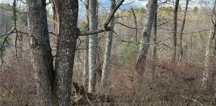 Lot #16 Marios Road, Piney Creek