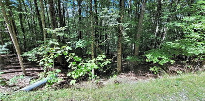118 S Hickory Lane, Beech Mountain
