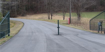 TBD Greenstreet Dr, Traphill