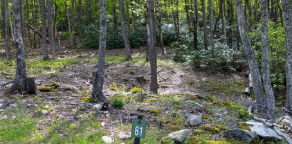 Lot 61 Wildcat Wilderness Parkway, Deep Gap