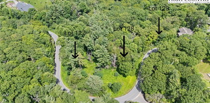 Lots 127, 128, 129 Cone Road, Blowing Rock