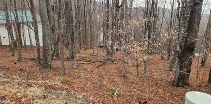 153 Pond Creek Road, Beech Mountain