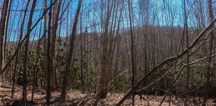Lot 99 Beaver Dam Road, Elk Park