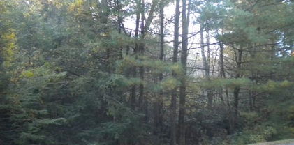 Lot 1 Pine Chase, Glade Valley