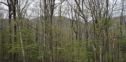 Lot 22 Fairway Ridge Drive, West Jefferson
