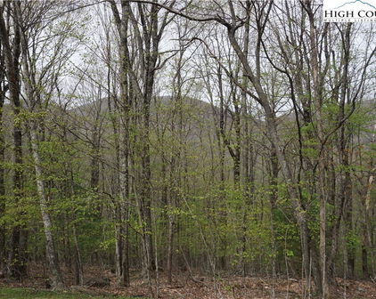 Lot 22 Fairway Ridge Drive, West Jefferson