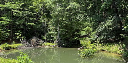 TBD Staghorn Road, Purlear