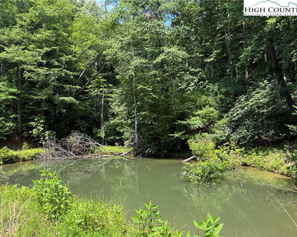 TBD Staghorn Road, Purlear