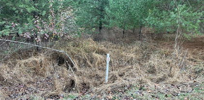 LOT 5A Evergreen Unit 5A, Piney Creek