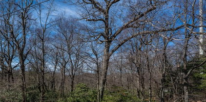 1469 Goforth Road, Blowing Rock