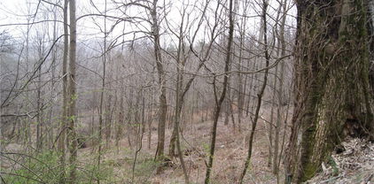 Lot 57 Toms Knob Road, Sparta