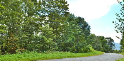 TBD Holiday Lane, Whitetop