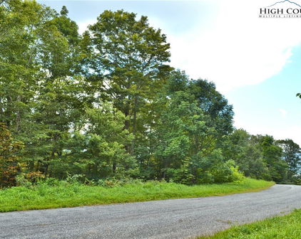 TBD Holiday Lane, Whitetop
