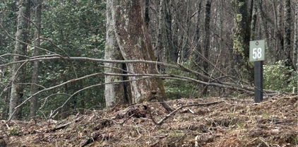 58 Wilderness Reserve Parkway, Deep Gap