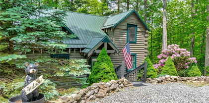 137 Teaberry + cottage+ lot Trail, Beech Mountain