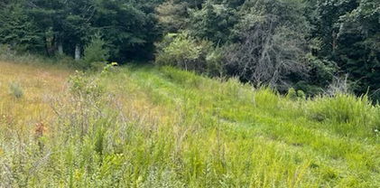 TBD Independence Drive, West Jefferson