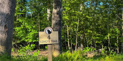 Lot T4 Coyote Trail, Boone