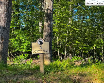 Lot T4 Coyote Trail, Boone
