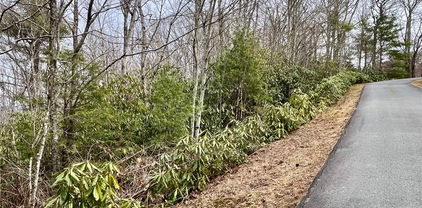 TBD Chestnut Mountain Road, Banner Elk